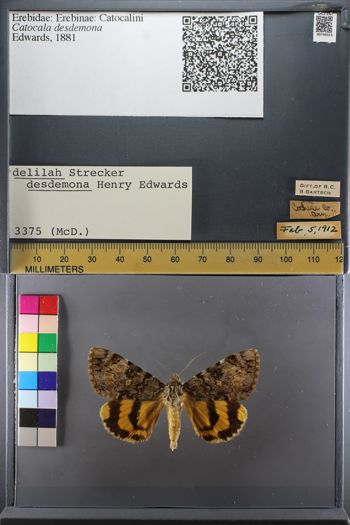 Media type: image;   Entomology 749315